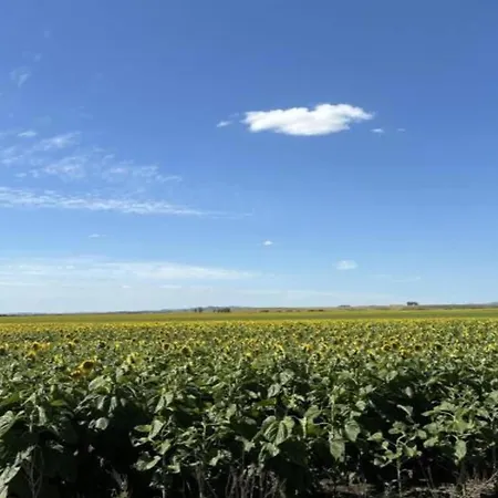 In Spain With Private Pool بيت للعطل *