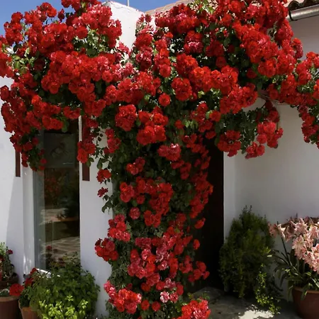 In Spain With Private Pool