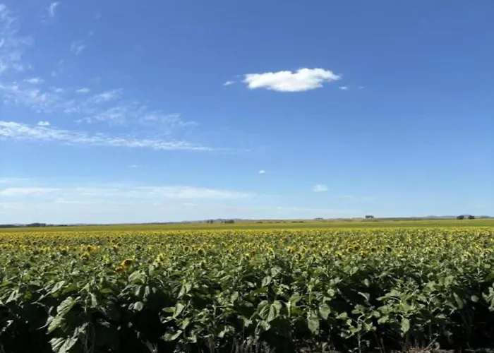 In Spain With Private Pool Hébergement de vacances *